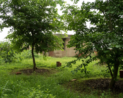 This image hints at how the kutirs will be nestled amongs trees and shrubs.